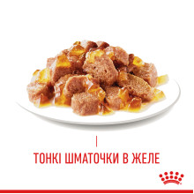 Влажный корм для взрослых кошек ROYAL CANIN HAIR and SKIN CARE IN JELLY 85 г