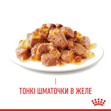Влажный корм для взрослых кошек ROYAL CANIN HAIR and SKIN CARE IN JELLY 85 г