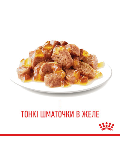 Влажный корм для взрослых кошек ROYAL CANIN HAIR&amp;amp;amp;amp;amp;SKIN CARE IN JELLY 85 г
