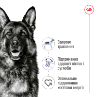 Корм для дорослих собак ROYAL CANIN MAXI ADULT 4 кг