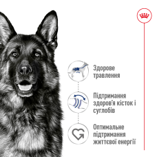 Корм для взрослых собак ROYAL CANIN MAXI ADULT 4 кг