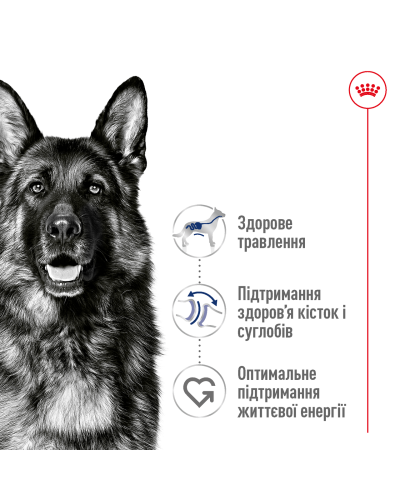 Корм для дорослих собак великих порід ROYAL CANIN MAXI AGEING 8+ (віком від 8 років) 15 кг
