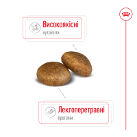 Корм для дорослих собак ROYAL CANIN MAXI ADULT 4 кг