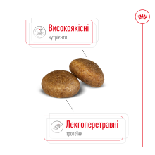 Корм для взрослых собак больших пород ROYAL CANIN MAXI AGEING 8+ (возраст от 8 лет) 15 кг
