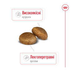 Корм для взрослых собак ROYAL CANIN MAXI ADULT 4 кг