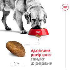 Корм для взрослых собак ROYAL CANIN MAXI ADULT 4 кг