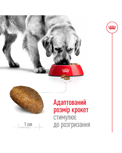 Корм для дорослих собак великих порід ROYAL CANIN MAXI AGEING 8+ (віком від 8 років) 15 кг