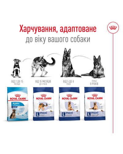 Корм для дорослих собак великих порід ROYAL CANIN MAXI ADULT 15 кг