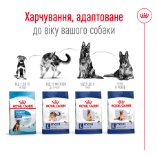 Корм для взрослых собак больших пород ROYAL CANIN MAXI AGEING 8+ (возраст от 8 лет) 15 кг