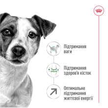 Корм для дорослих собак дрібних порід ROYAL CANIN MINI ADULT 8+ (віком від 8 років) 800 г
