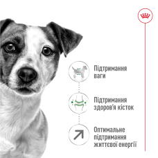 Корм для взрослых собак мелких пород ROYAL CANIN MINI ADULT 8+ (возраст от 8 лет) 800 г