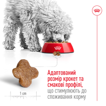 Корм для дорослих собак дрібних порід ROYAL CANIN MINI ADULT 8+ (віком від 8 років) 800 г
