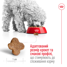 Корм для взрослых собак мелких пород ROYAL CANIN MINI ADULT 8+ (возраст от 8 лет) 800 г