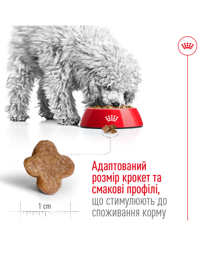 Корм для дорослих собак дрібних порід ROYAL CANIN MINI ADULT 8+ (віком від 8 років) 800 г