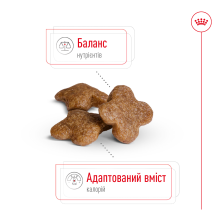 Корм для дорослих собак дрібних порід ROYAL CANIN MINI ADULT 8+ (віком від 8 років) 800 г