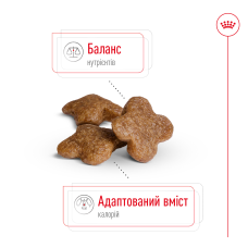 Корм для взрослых собак мелких пород ROYAL CANIN MINI ADULT 8+ (возраст от 8 лет) 800 г