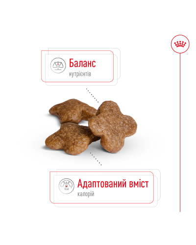 Корм для дорослих собак дрібних порід ROYAL CANIN MINI ADULT 8+ (віком від 8 років) 800 г