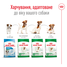 Корм для взрослых собак мелких пород ROYAL CANIN MINI ADULT 8+ (возраст от 8 лет) 800 г