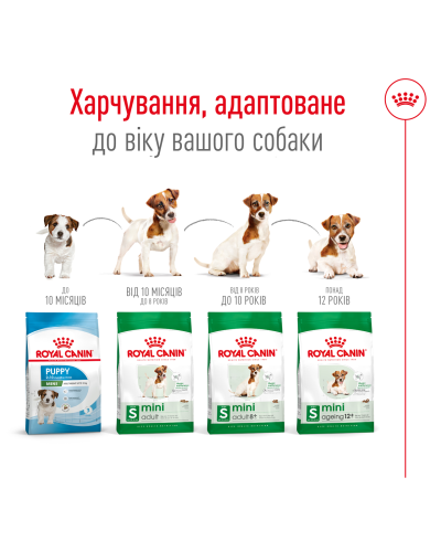 Корм для дорослих собак дрібних порід ROYAL CANIN MINI ADULT 8+ (віком від 8 років) 800 г