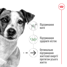 Корм для взрослых собак мелких пород ROYAL CANIN MINI AGEING 12+ (возраст от 12 лет) 800 г