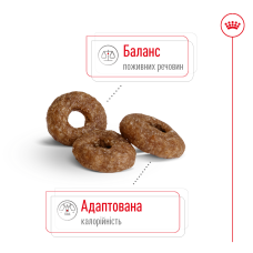 Корм для взрослых собак мелких пород ROYAL CANIN MINI AGEING 12+ (возраст от 12 лет) 800 г