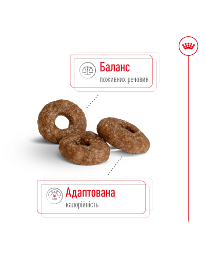 Корм для дорослих собак дрібних порід  ROYAL CANIN MINI AGEING 12+ (віком від 12 років) 800 г