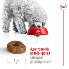 Корм для взрослых собак мелких пород ROYAL CANIN MINI AGEING 12+ (возраст от 12 лет) 800 г