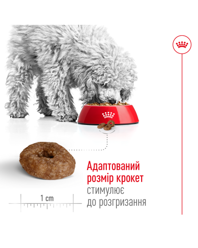 Корм для дорослих собак дрібних порід  ROYAL CANIN MINI AGEING 12+ (віком від 12 років) 800 г