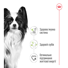 Корм для взрослых собак ROYAL CANIN XSMALL ADULT 3 кг