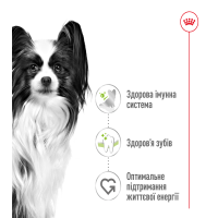Сухий корм для дорослих собак дрібних порід ROYAL CANIN XSMALL ADULT 500 г