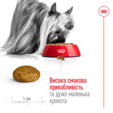 Корм для взрослых собак ROYAL CANIN XSMALL ADULT 3 кг