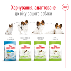 Корм для взрослых собак ROYAL CANIN XSMALL ADULT 3 кг