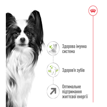 Корм для взрослых собак ROYAL CANIN XSMALL ADULT 8+ (возраст от 8 лет) 3 кг