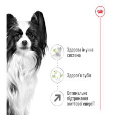 Корм для взрослых собак ROYAL CANIN XSMALL ADULT 8+ (возраст от 8 лет) 3 кг
