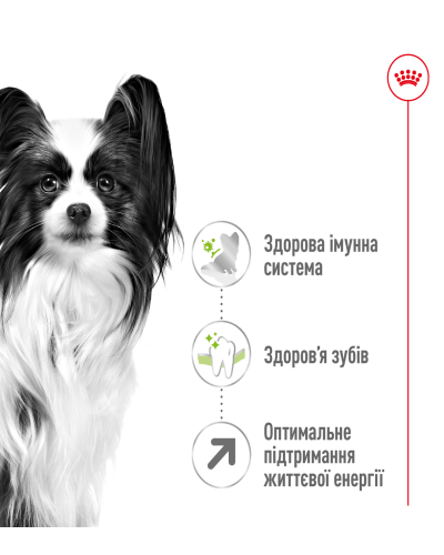 Корм для дорослих собак ROYAL CANIN XSMALL ADULT 8+ (віком від 8 років) 3 кг