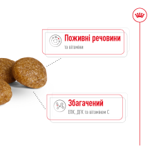Корм для взрослых собак ROYAL CANIN XSMALL ADULT 8+ (возраст от 8 лет) 3 кг