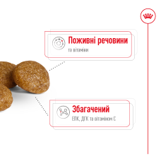 Корм для взрослых собак ROYAL CANIN XSMALL ADULT 8+ (возраст от 8 лет) 3 кг