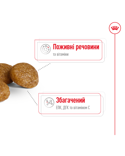 Корм для дорослих собак ROYAL CANIN XSMALL ADULT 8+ (віком від 8 років) 3 кг