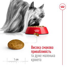 Корм для взрослых собак ROYAL CANIN XSMALL ADULT 8+ (возраст от 8 лет) 3 кг