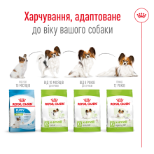 Корм для взрослых собак ROYAL CANIN XSMALL ADULT 8+ (возраст от 8 лет) 3 кг