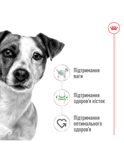 Корм для дорослих собак малих порід ROYAL CANIN MINI ADULT 4 кг