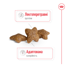 Корм для взрослых собак малых пород ROYAL CANIN MINI ADULT 800 г
