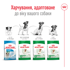 Корм для взрослых собак малых пород ROYAL CANIN MINI ADULT 4 кг