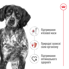 Корм для дорослих собак ROYAL CANIN MEDIUM ADULT 15 кг
