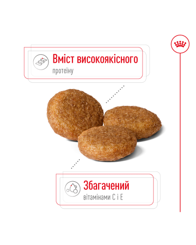 Корм для дорослих собак ROYAL CANIN MEDIUM ADULT 4 кг