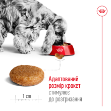Корм для взрослых собак ROYAL CANIN MEDIUM ADULT 4 кг