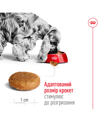 Корм для дорослих собак ROYAL CANIN MEDIUM ADULT 4 кг