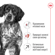 Корм для взрослых собак средних пород ROYAL CANIN MEDIUM ADULT 7+ (от 7 лет) 15 кг