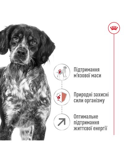 Корм для дорослих собак середніх порід віком ROYAL CANIN MEDIUM ADULT 7+ (від 7 років) 4 кг