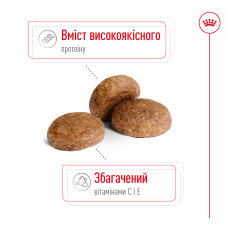 Корм для взрослых собак средних пород ROYAL CANIN MEDIUM ADULT 7+ (от 7 лет) 15 кг